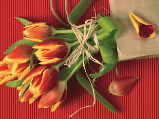 Как сделать электронное поздравление