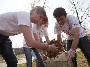 Как стать волонтером: обзор сайтов по экологическим инициативам