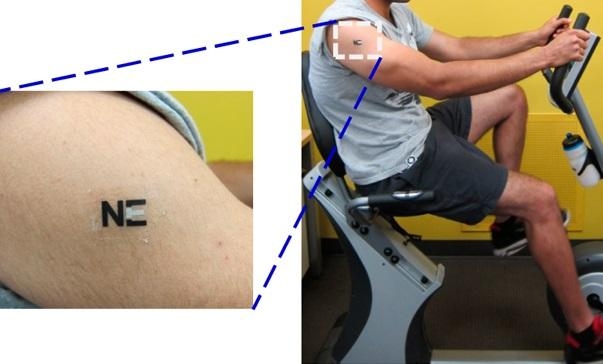 Электроника подскажет спортсменам, что они «на грани»