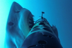 Підводна зйомка демонструє атаку акули