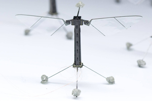 Учені створили незвичайного літаючого мікроробота