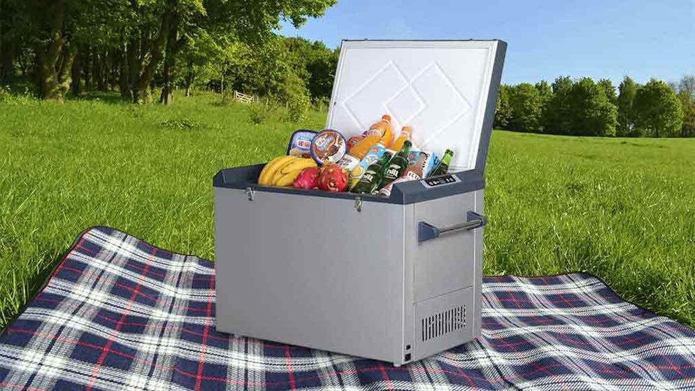 portable fridge on picnic rug