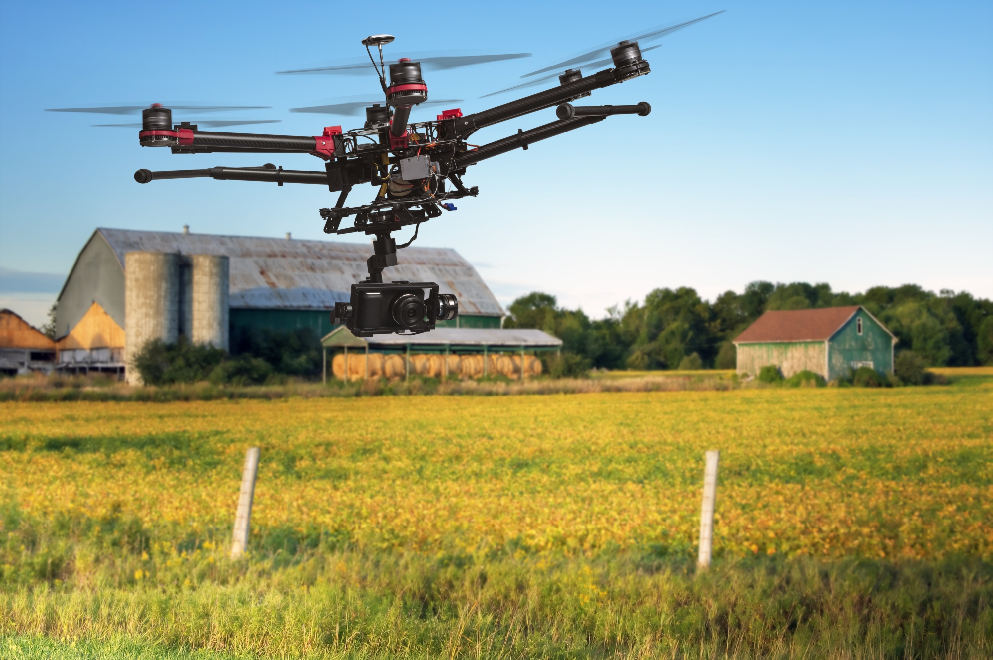 drone crop field