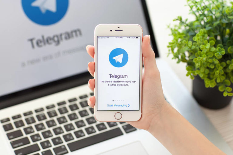 В Telegram появился бот для чтения заблокированной ленты новостей во «ВКонтакте»