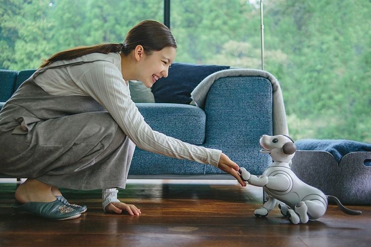 Sony відновлює виробництво роботів-собак Aibo: більше емоційності та розуму