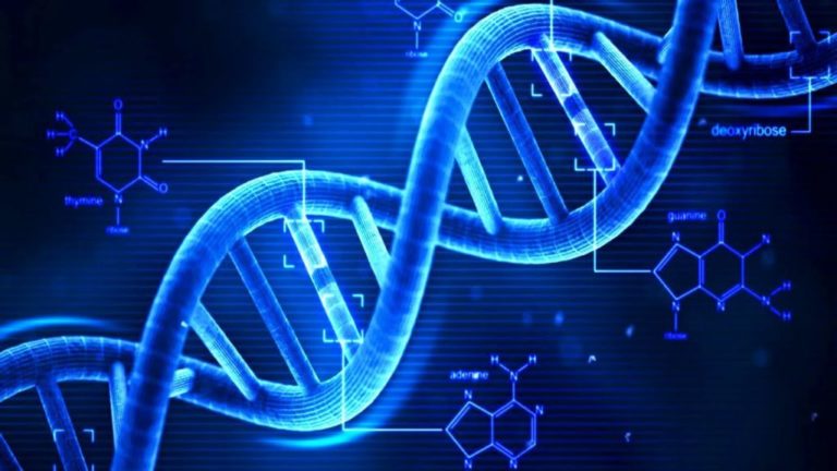 Із iPhone зробили першу у світі мобільну генетичну лабораторію для аналізу ДНК
