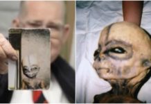 7 кроків, якими можна довести існування інопланетян