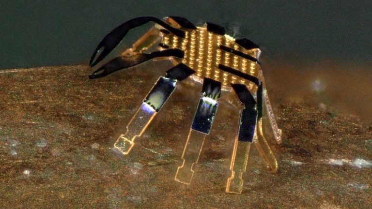 Прыгающий краб – самый маленький робот в мире