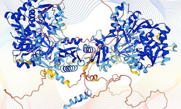 В биохимии научный прорыв – DeepMind раскрыл структуру почти всех известных белков