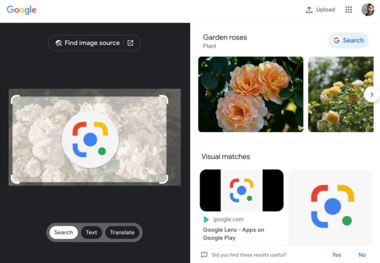 Google скрыл классический поиск по картинкам