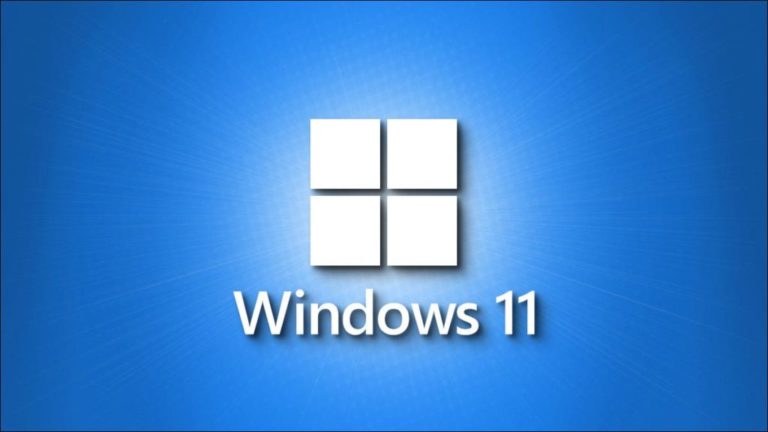 Windows 11 получила настройки веб-камеры: можно размывать фон