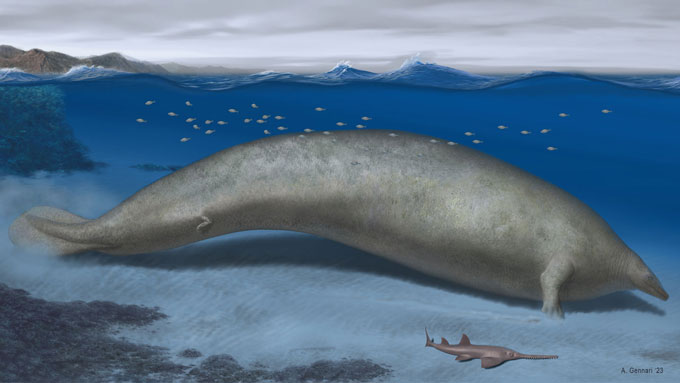 Ілюстрація стародавнього кита Perucetus colossus