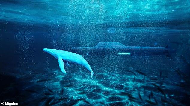 Супер підводний човен: $2 млрд, винний льох та кінотеатр на глибині 250 метрів
