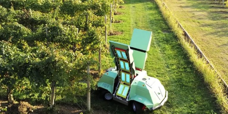 Селянам пропонують солярій на колесах для посівів: італійський роботю вбиває цвіль ультрафіолетом