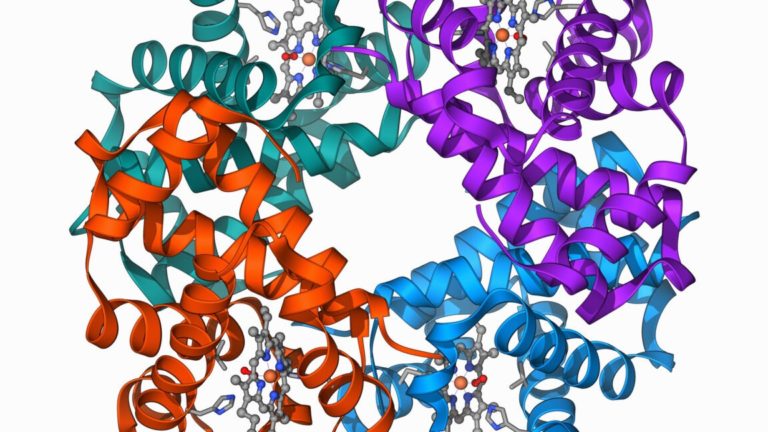 Китайские ученые научились исправлять генетические ошибки бета-талассемии с помощью более точного редактирования ДНК без побочных эффектов