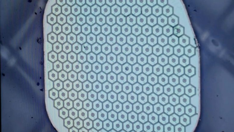 Компания Science Corporation готовит первую операцию по имплантации сенсора в человеческий мозг для считывания нейронной активности