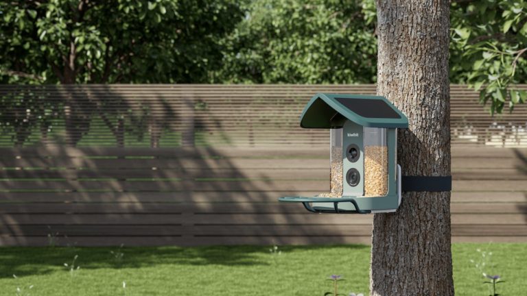Kiwibit Bird Feeder Pro: розумна годівниця з ІІ та 4K