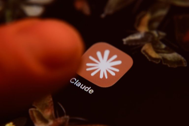 Anthropic може попросити показати документ для Claude
