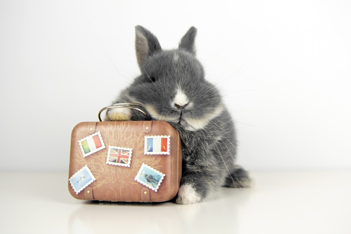 Додаток Hopper сплатить $35 млн штрафу FTC
